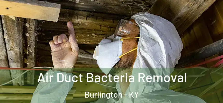  Air Duct Bacteria Removal Burlington - KY