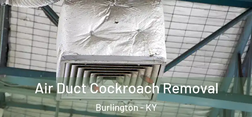  Air Duct Cockroach Removal Burlington - KY