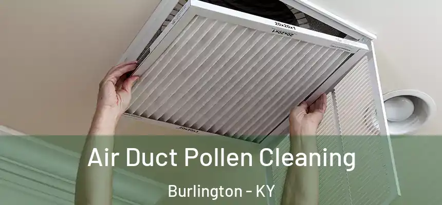  Air Duct Pollen Cleaning Burlington - KY