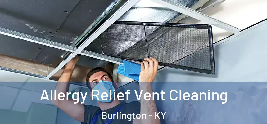  Allergy Relief Vent Cleaning Burlington - KY