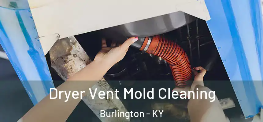  Dryer Vent Mold Cleaning Burlington - KY