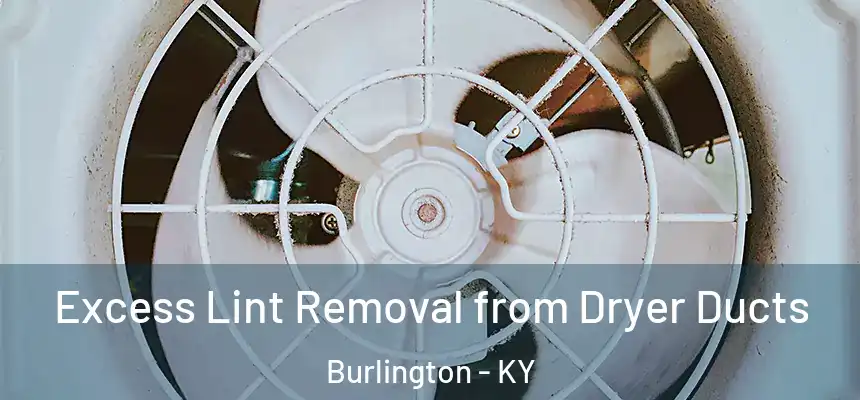  Excess Lint Removal from Dryer Ducts Burlington - KY