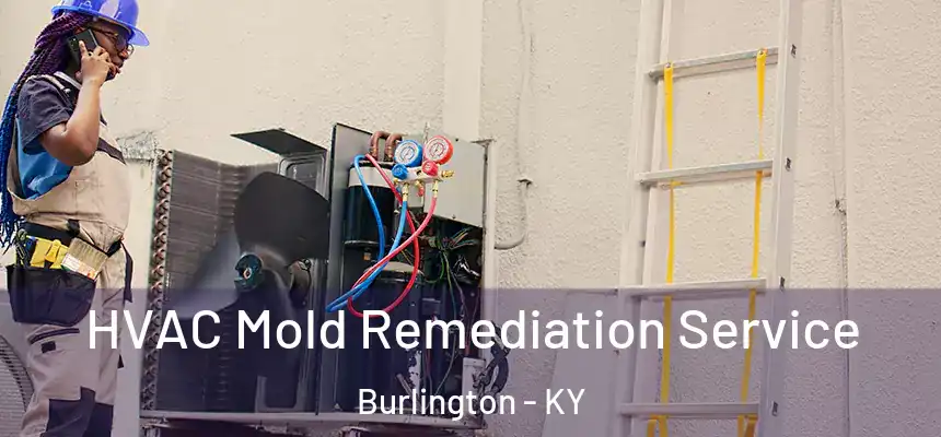  HVAC Mold Remediation Service Burlington - KY