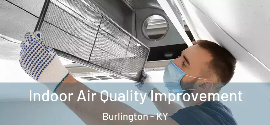  Indoor Air Quality Improvement Burlington - KY