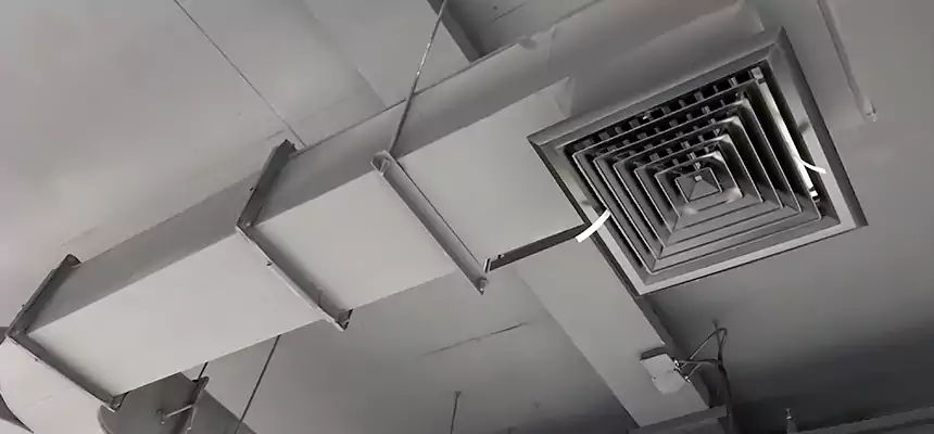 Restorative Allergy Relief Vent Cleaning – Coil, Blower & Housing Detail in Burlington