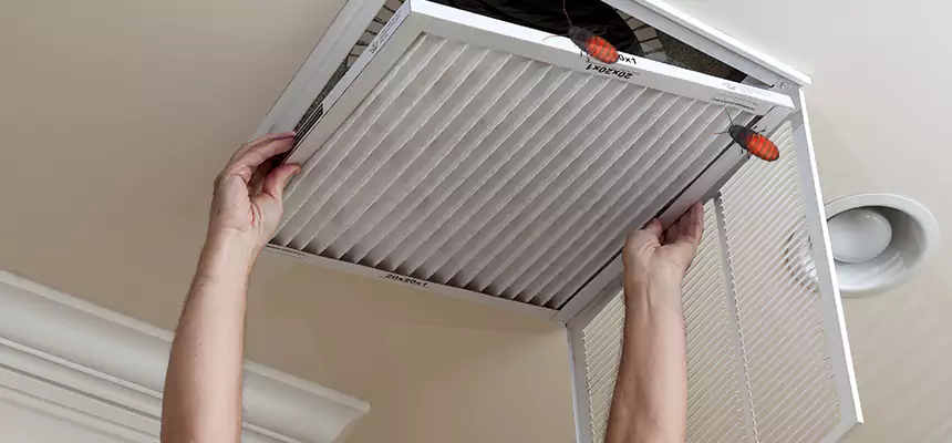 Our Insect Removal from Air Ducts Services in Burlington, KY