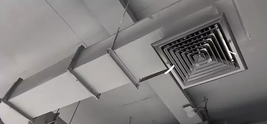 Our Pest Removal From Ducts Services in Burlington, KY