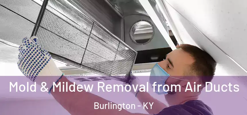  Mold & Mildew Removal from Air Ducts Burlington - KY