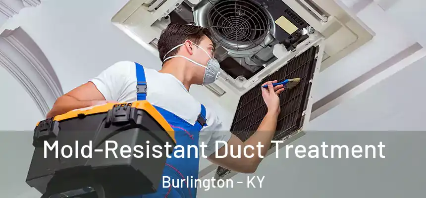  Mold-Resistant Duct Treatment Burlington - KY
