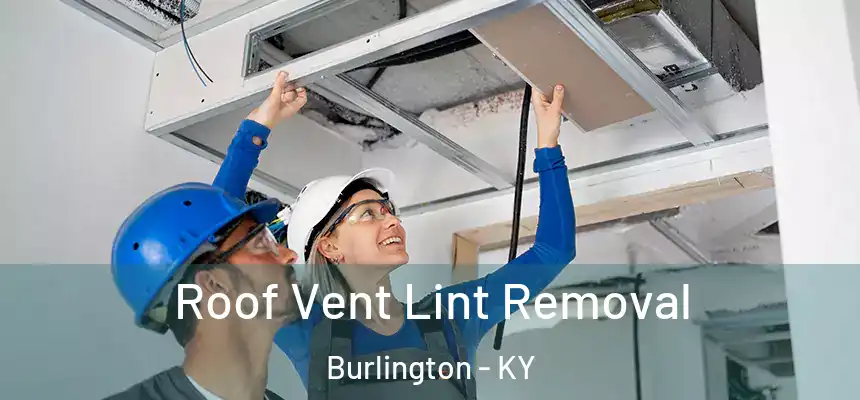  Roof Vent Lint Removal Burlington - KY
