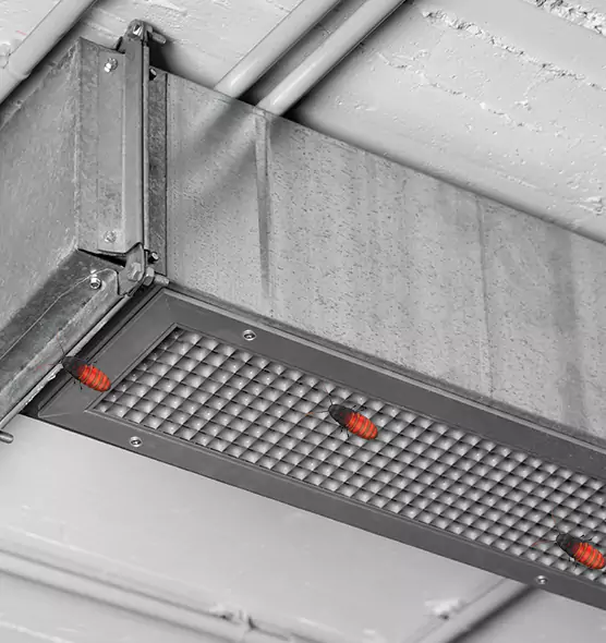 About Air Duct Cockroach Removal in Burlington, KY
