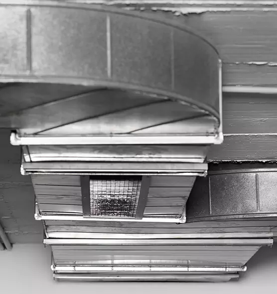 Professional Air Duct Pet Hair Removal in Burlington, KY