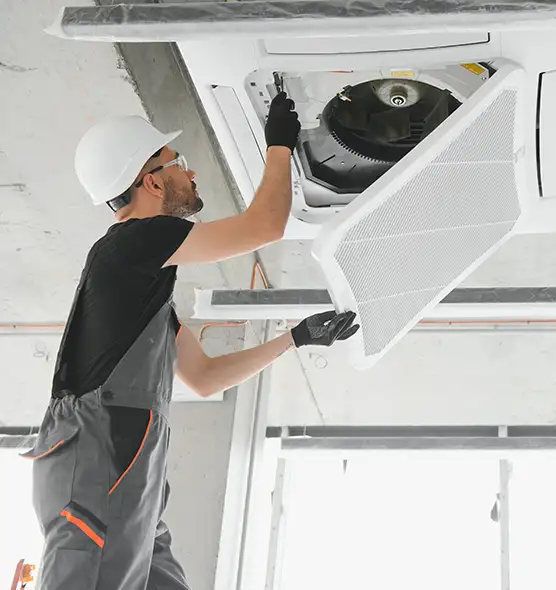 About Air Duct Rodent Removal in Burlington, KY